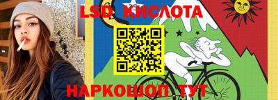 шишки Новокубанск