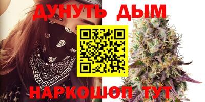 индика Новозыбков