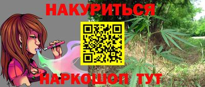 шишки Новокубанск