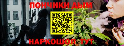 индика Новозыбков