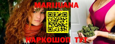 индика Новозыбков
