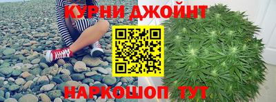 шишки Новокубанск