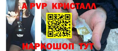 индика Новозыбков