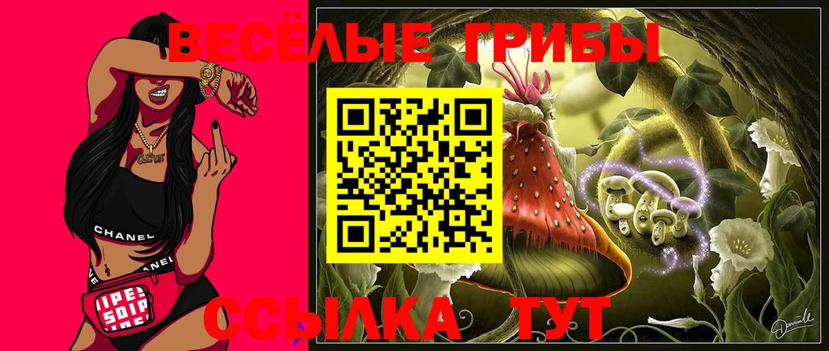 Россошь  Галлюциногенные грибы Cubensis  Галлюциногенные грибы Psilocybe  Вход с VPN 