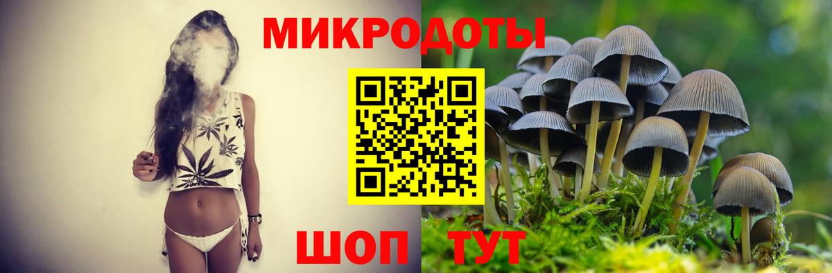 Псилоцибиновые грибы Psilocybine cubensis Россошь
